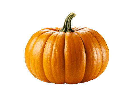 pumpkin isolated object png
