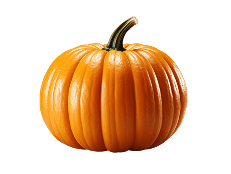 pumpkin isolated object png