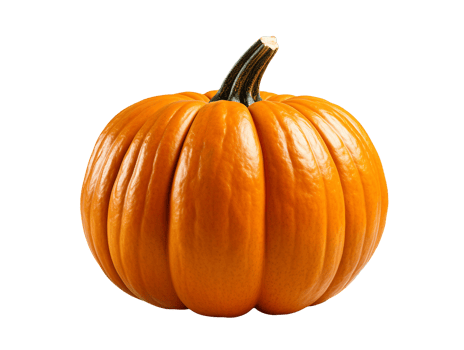 pumpkin isolated object png