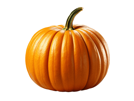 pumpkin isolated object png