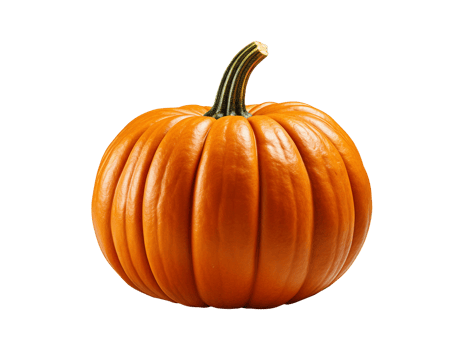 pumpkin isolated object png