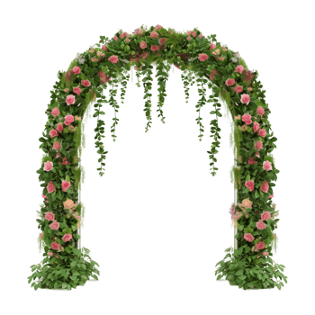 Garden Flower Vine Arch Isolated on Transparent Background png