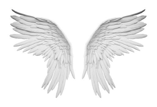 Angel Wings Isolated on Transparent Background png