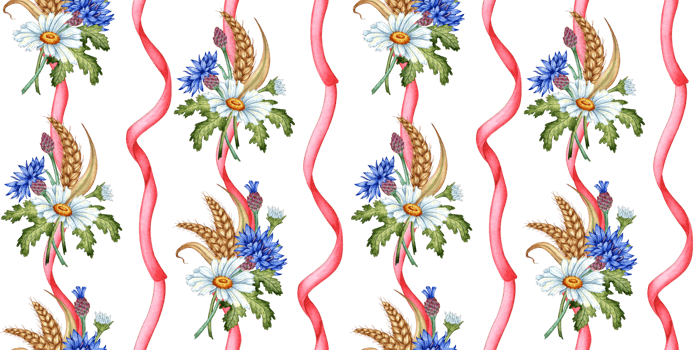 Blue cornflowers, daisies and ears of wheat pattern vertical with pink ribbon watercolor illustration. Wildflower botanical composition element isolated from background. Suitable for cosmetics, png