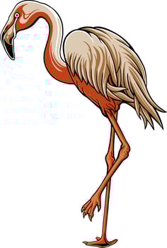 Flamingo Bird Illustrator Design For Elements, editable colors vector