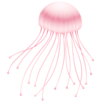 Cute cartoon jellyfish png