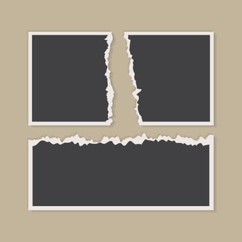 collage photo frame template for photographs presentation vector