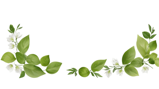 spring leaf frame border isolated on transparent background png