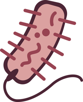 Bacteria Icon Soil Microorganism png