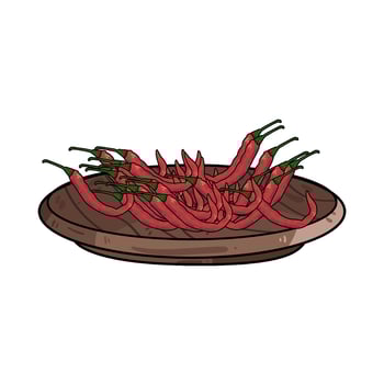 Illustration of red chili pepper vector