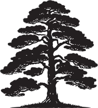Pine Tree, black color silhouette vector