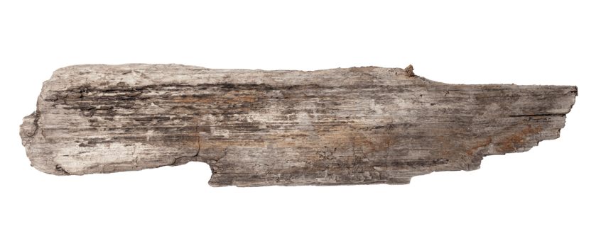Sea drift wood plank isolated on transparent background. Template mockup png