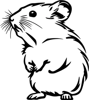Adorable black stencil hamster, cute pet companion. AI-generated. png
