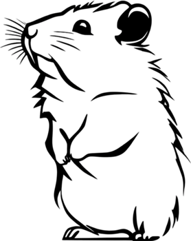 Adorable black stencil hamster, cute pet companion. AI-generated. png