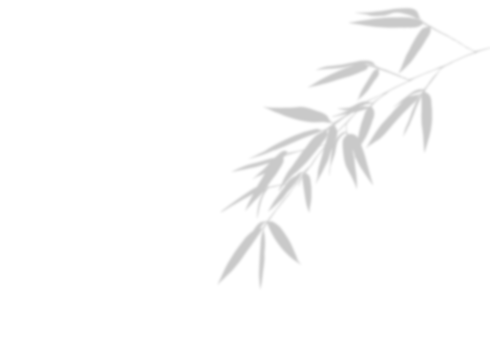 A illustration of bamboo branches with leaves on isolated background, featuring a blurry grey shadow leaf design with an Asian aesthetic. png