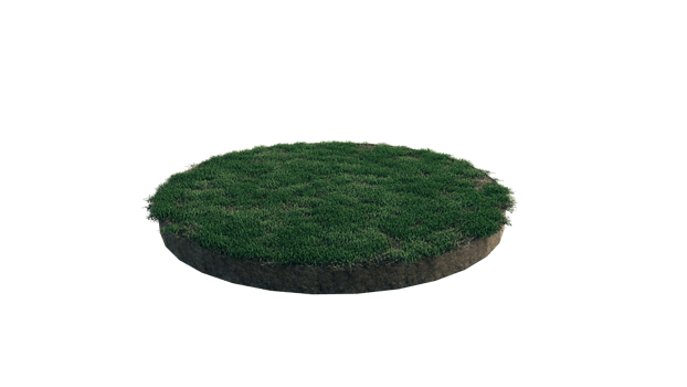 Round surface of Small Plant forest patch covered with flowers, green or dry grass and stone isolated on transparent background. Realistic natural element for design. Bright 3d png