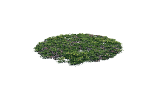 Round surface of Small Plant forest patch covered with flowers, green or dry grass and stone isolated on transparent background. Realistic natural element for design. Bright 3d png