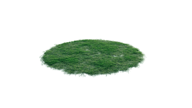 Round surface of Small Plant forest patch covered with flowers, green or dry grass and stone isolated on transparent background. Realistic natural element for design. Bright 3d png