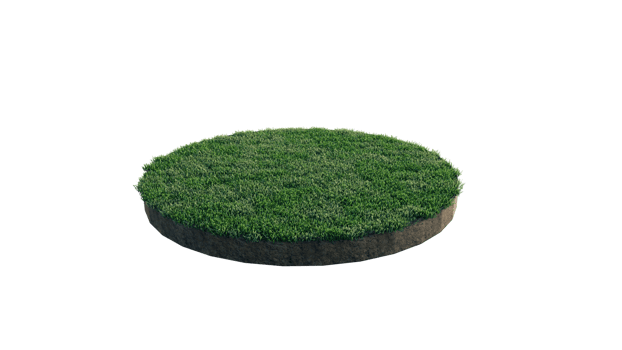 Round surface of Small Plant forest patch covered with flowers, green or dry grass and stone isolated on transparent background. Realistic natural element for design. Bright 3d png