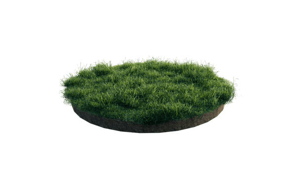 Round surface of Small Plant forest patch covered with flowers, green or dry grass and stone isolated on transparent background. Realistic natural element for design. Bright 3d png
