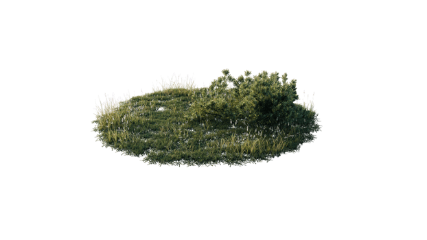 Round surface of Small Plant forest patch covered with flowers, green or dry grass and stone isolated on transparent background. Realistic natural element for design. Bright 3d png