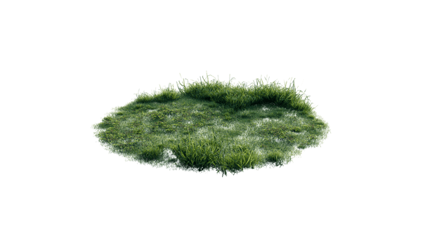 Round surface of Small Plant forest patch covered with flowers, green or dry grass and stone isolated on transparent background. Realistic natural element for design. Bright 3d png