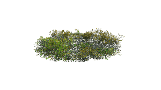 Round surface of Small Plant forest patch covered with flowers, green or dry grass and stone isolated on transparent background. Realistic natural element for design. Bright 3d png