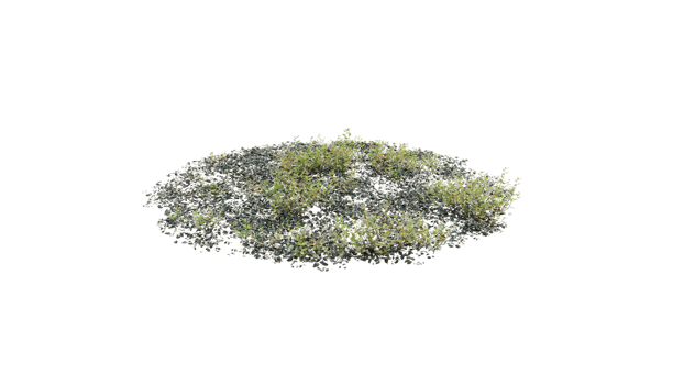 Round surface of Small Plant forest patch covered with flowers, green or dry grass and stone isolated on transparent background. Realistic natural element for design. Bright 3d png