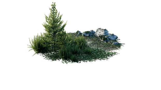 Round surface of Small Plant forest patch covered with flowers, green or dry grass and stone isolated on transparent background. Realistic natural element for design. Bright 3d png