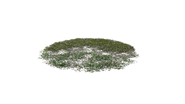 Round surface of Small Plant forest patch covered with flowers, green or dry grass and stone isolated on transparent background. Realistic natural element for design. Bright 3d png