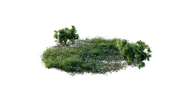 Round surface of Small Plant forest patch covered with flowers, green or dry grass and stone isolated on transparent background. Realistic natural element for design. Bright 3d png