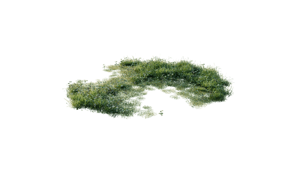Round surface of Small Plant forest patch covered with flowers, green or dry grass and stone isolated on transparent background. Realistic natural element for design. Bright 3d png
