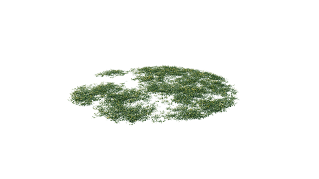 Round surface of Small Plant forest patch covered with flowers, green or dry grass and stone isolated on transparent background. Realistic natural element for design. Bright 3d png