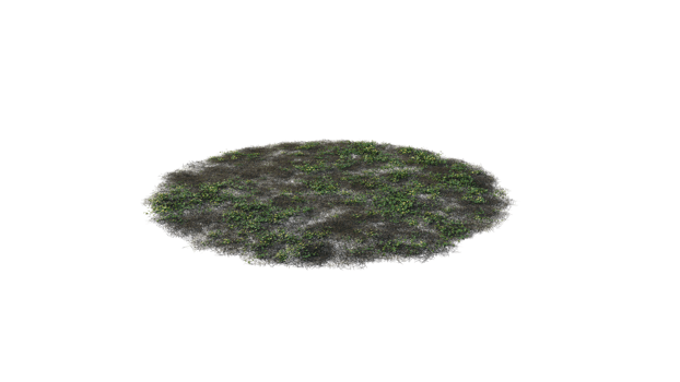 Round surface of Small Plant forest patch covered with flowers, green or dry grass and stone isolated on transparent background. Realistic natural element for design. Bright 3d png