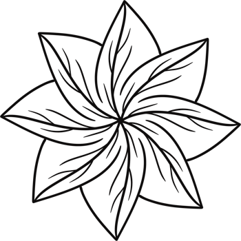 Floral Flower simple hand drawn. png
