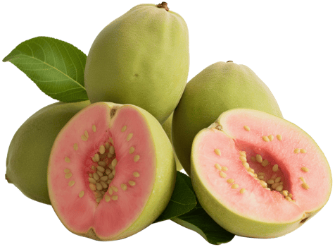 A group of ripe guava with slice isolated illustration on a transparent background png