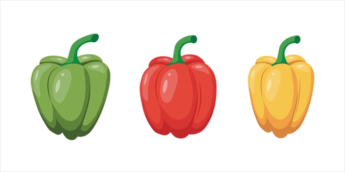 Set of three bell peppers of different colors isolated on a white background. Red, green, yellow bell peppers. illustration vector