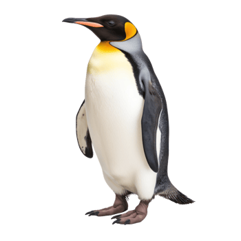a penguin standing on a transparent background png