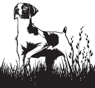 dog silhouette art design vector