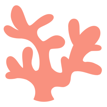 Sea animals, sea life, underwater png
