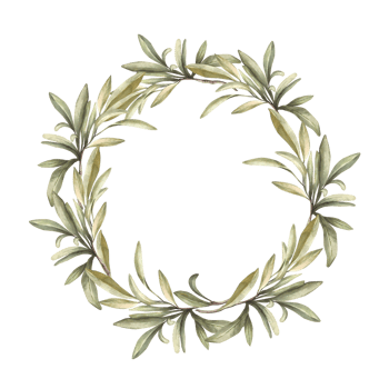 Olive branch, fruitless with green leaves. Watercolor wreath Botanical laurel leaf round composition. Hand drawn illustration for floral label, greeting card, wedding invitation on isolated background png