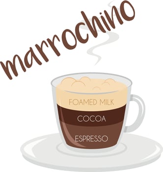 illustration of a Marrochino coffee cup icon with plate and name and its preparation and proportions. vector