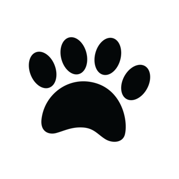 Dog paw print transparent background png