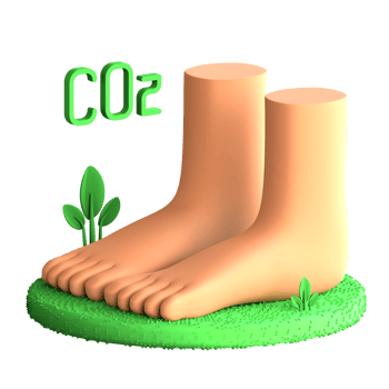 3D Illustration carbon footprint png