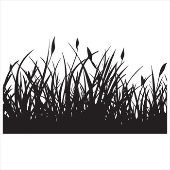 Seamless grass silhouette white background vector
