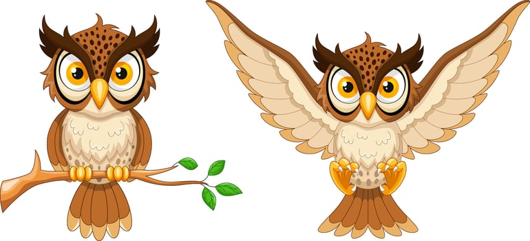 Cartoon owl isolated on white background vector