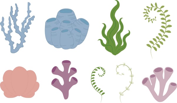 Sea clipart with tropical coral reefs and algaes. Ocean plants flora elements vector