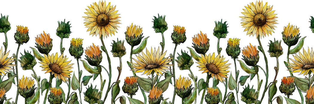 watercolor graphics Seamless Border of sunflowers flowers on a white background vector