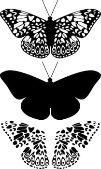 Black and White Butterfly Silhouettes with Ornamental Patterns on a White Background. Nature Inspired Designs in Monochrome. Artistic Wildlife Shapes in Symmetry. illustration vector