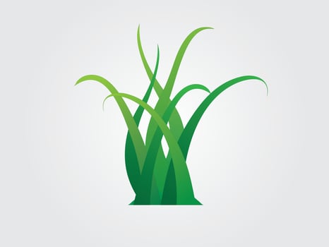 A set of colorful green grass plants logo illustration vector